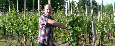 Weingut Bremm (Kenn) » Wein kaufen